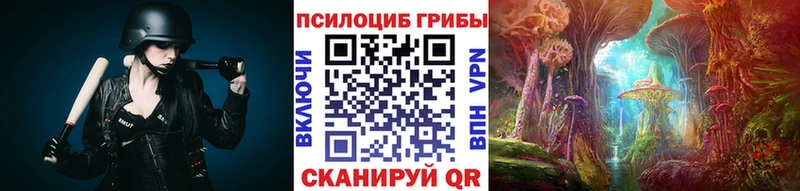Псилоцибиновые грибы Psilocybe  мориарти Telegram  Находка  как найти закладки 